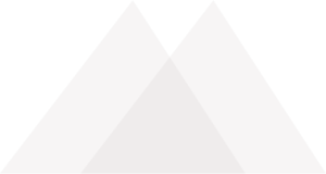 shape 9